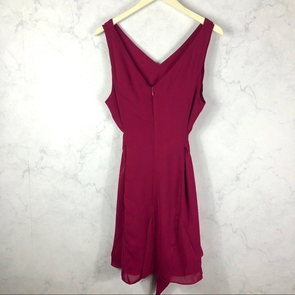 [Parker] Raspberry Shift Dress - Picture 5 of 6